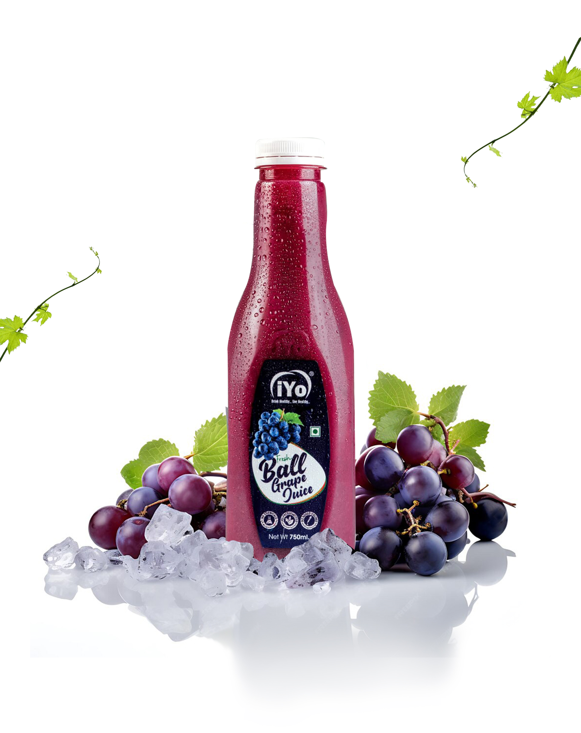 750 ML – FAMILY PACK
